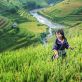 Thank you for wonderful Hanoi & Halong Bay trip